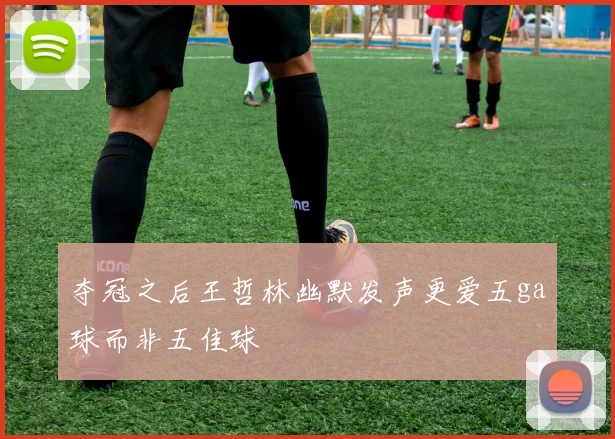 夺冠之后王哲林幽默发声更爱五ga球而非五佳球