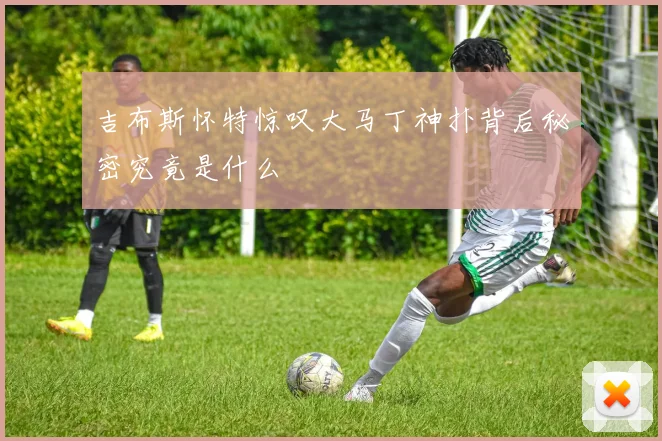吉布斯怀特惊叹大马丁神扑背后秘密究竟是什么
